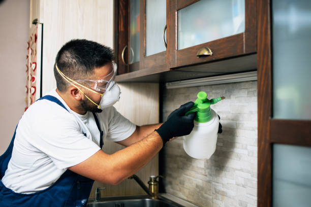 Best Emergency Pest Control  in Reynoldsburg, OH