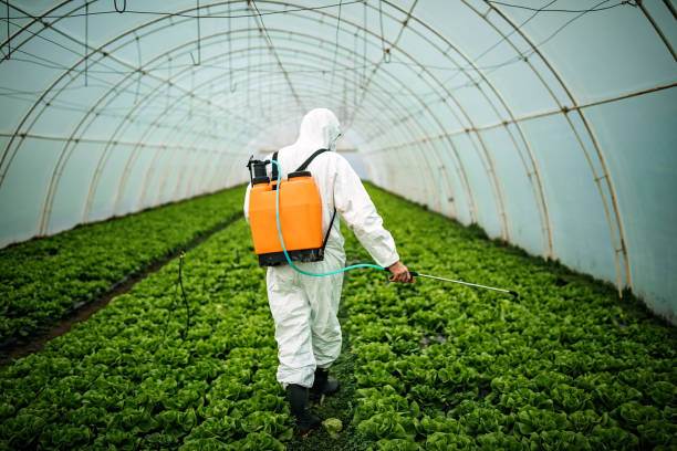 Best Pest Control Near Me  in Reynoldsburg, OH