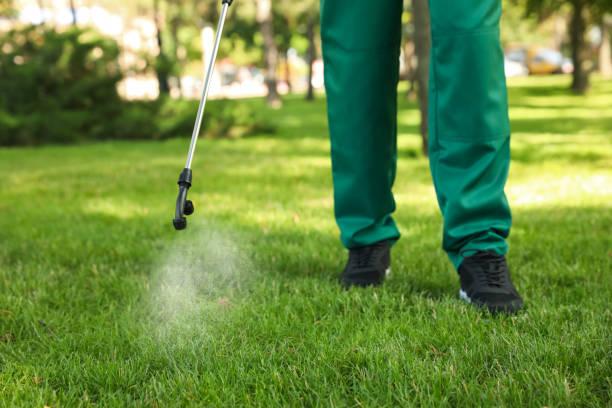 Best Commercial Pest Control Services  in Reynoldsburg, OH