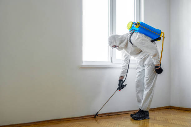 Best Pest Removal Services  in Reynoldsburg, OH