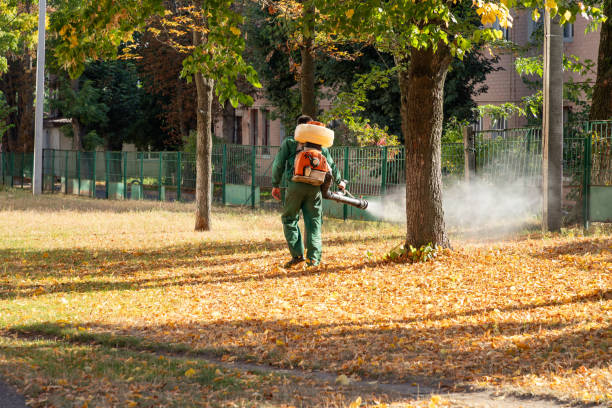 Best Ant Control Services  in Reynoldsburg, OH