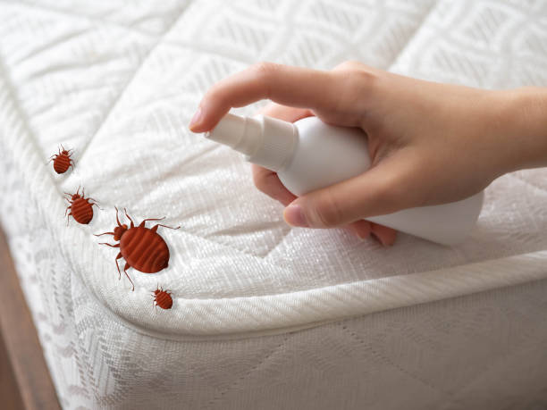 Best Emergency Pest Control  in Reynoldsburg, OH