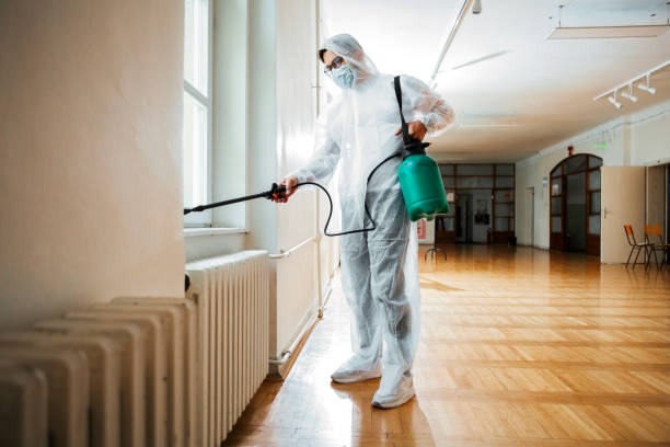 Best Rat Extermination Near Me  in Reynoldsburg, OH