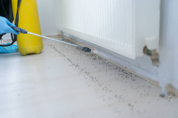  Reynoldsburg, OH Pest Control Pros