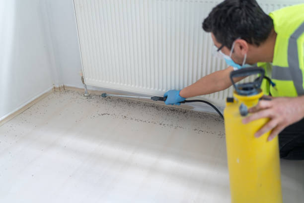 Best Termite Control Services  in Reynoldsburg, OH