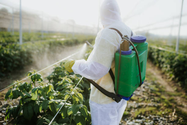 Best Residential Pest Control  in Reynoldsburg, OH